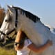 Horses are known to be exceptionally good at calming hard-to-reach children and recovering addicts, as they often convey an understanding and tranquil presence.