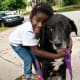 From the moment they bond with their owners, dogs are pretty much guaranteed to be loyal, loving companions for the rest of their lives.