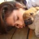 Dogs are loyal and affectionate pets.