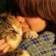 Cats are more affectionate than they appear.