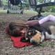 There's nothing quite like snuggling up with a loving canine for a nice nap.