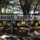 shelter-launches-new-and-creative-kennel-area-to-help-with-heartworm-treatment