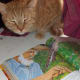 Tiger, who belongs to my daughter.