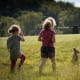 pet-patagonian-chacoan-mara-cavy-exotic-animal-care