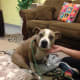 A resident of MCAS enjoying the living room