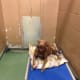 Look at the smile when receiving a bed!