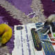 Mumu trying to copy Lulu by putting the paper bit in his tail.