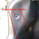 toyota-camry-light-bulb-replacement-1997-2001