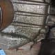 This axle seal is just starting to leak.