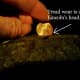 Check tread wear with a penny.