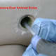 Toyota Camry rear door panel screw removal