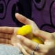 lovebird-molting-symptoms-and-care
