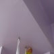 My lovebird, Mumu, is being naughty.