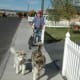 Griff and Denaya walk training as a prelude to scootering.