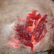 Wounds such as this one are likely to lead to contamination of the surrounding meat. Such sites should be considered dog food even on the best of animals.