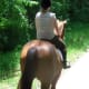 Horses feel our energy, so having calm, confident energy is a super important horsemanship skill.