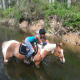 summer-riding-beat-the-heat