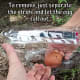 To remove the egg, separate two strips so that it falls out.