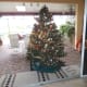 cat-proof-your-christmas