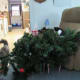 My aunt's cat successfully destroyed the Christmas tree last year.