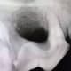 A radiograph of the affected tooth shows major bone loss.