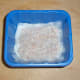 Day #1: You can barely see the sprouted seeds through the paper towel.