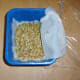Day #2: The sprouts begin to green up. Time to remove the top towel.