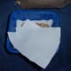 Cover the seed with the other half of the paper towel.