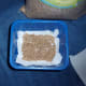 A single layer of seed should look like this.