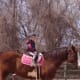 Ollie on Romeo