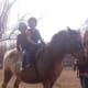 Peanut with Levi in the front, Ollie on the back!