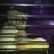 At the end of the day, Patches and Gadget snuggled together in the same cage.