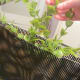 how-to-make-a-cheap-home-made-betta-tank-divider