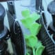 how-to-make-a-cheap-home-made-betta-tank-divider