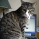 I'm not moving off the computer. That's where all the fun is.