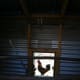 backyard-chickens-and-hen-houses