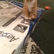 I sleep on box.