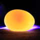An egg that does not develop at all is known as a "clear" or "dud". When candled, the yolk shadow is barely distinctive, and there are no signs of development.