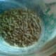 A container of the nutrient-rich food pellets we feed our chickens every day.