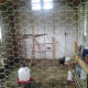 The inner chamber to our coop, where the chickens sleep, eat, and lay eggs.