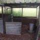 Chickens are usually moved to this coop after about three weeks of age.