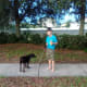 are-you-a-true-dog-person