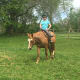 The sixth horse we have seen so far, Magic.
