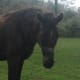 This is Shay, a prospect still on our list for consideration.