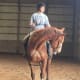 Horse #5: Noah—didn't get to stay on the prospect list, not sound enough!