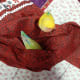 my-lovebird-lost-his-mate