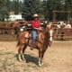 how-becoming-a-horse-wrangler-helped-my-horsemanship