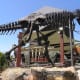 Dino Quest at the Discovery Science Center in Santa Ana, California.
