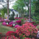 The Azalea Trail in Tyler.
