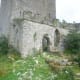 Clonony Castle Entrance
